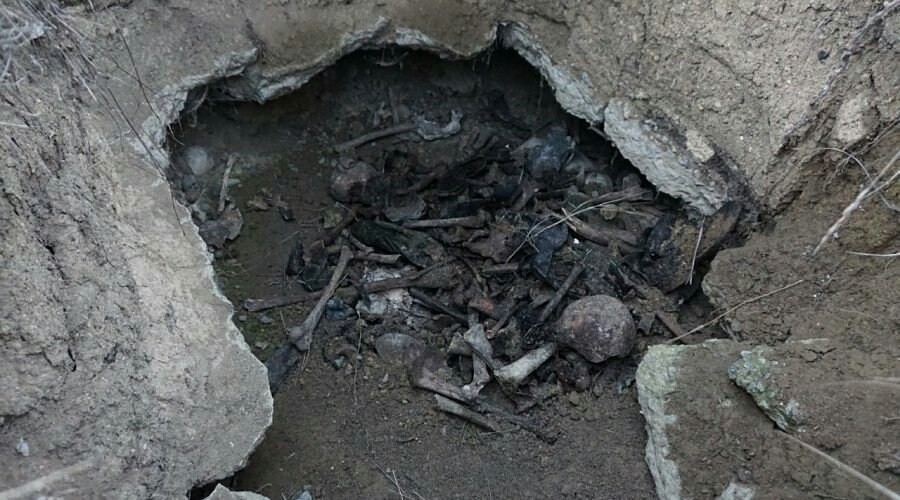 Мародеры вели раскопки на братской могиле под Симферополем