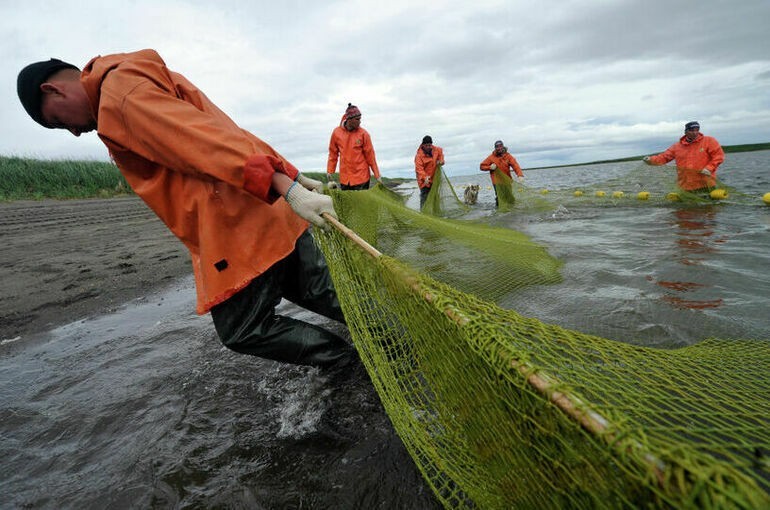 Рыбаки больше не желают вкладываться в «Летучий голландец»