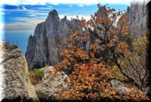 Минкурортов Крыма разработает еще 15 туристических маршрутов в следующем году