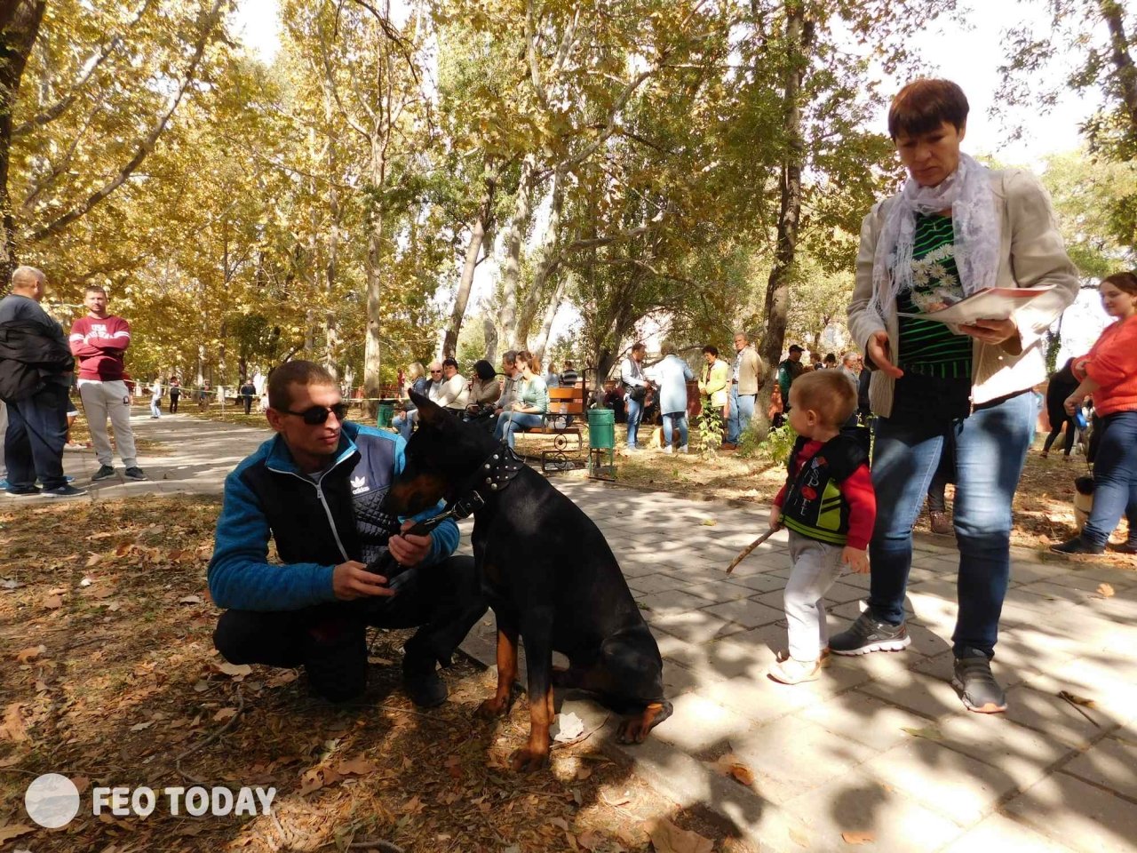 Выставка собак КРАСА КАФЫ в Феодосии #5105