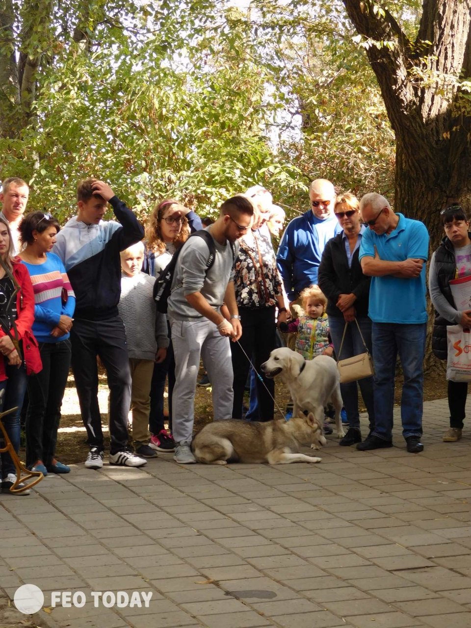 Выставка собак КРАСА КАФЫ в Феодосии #5127