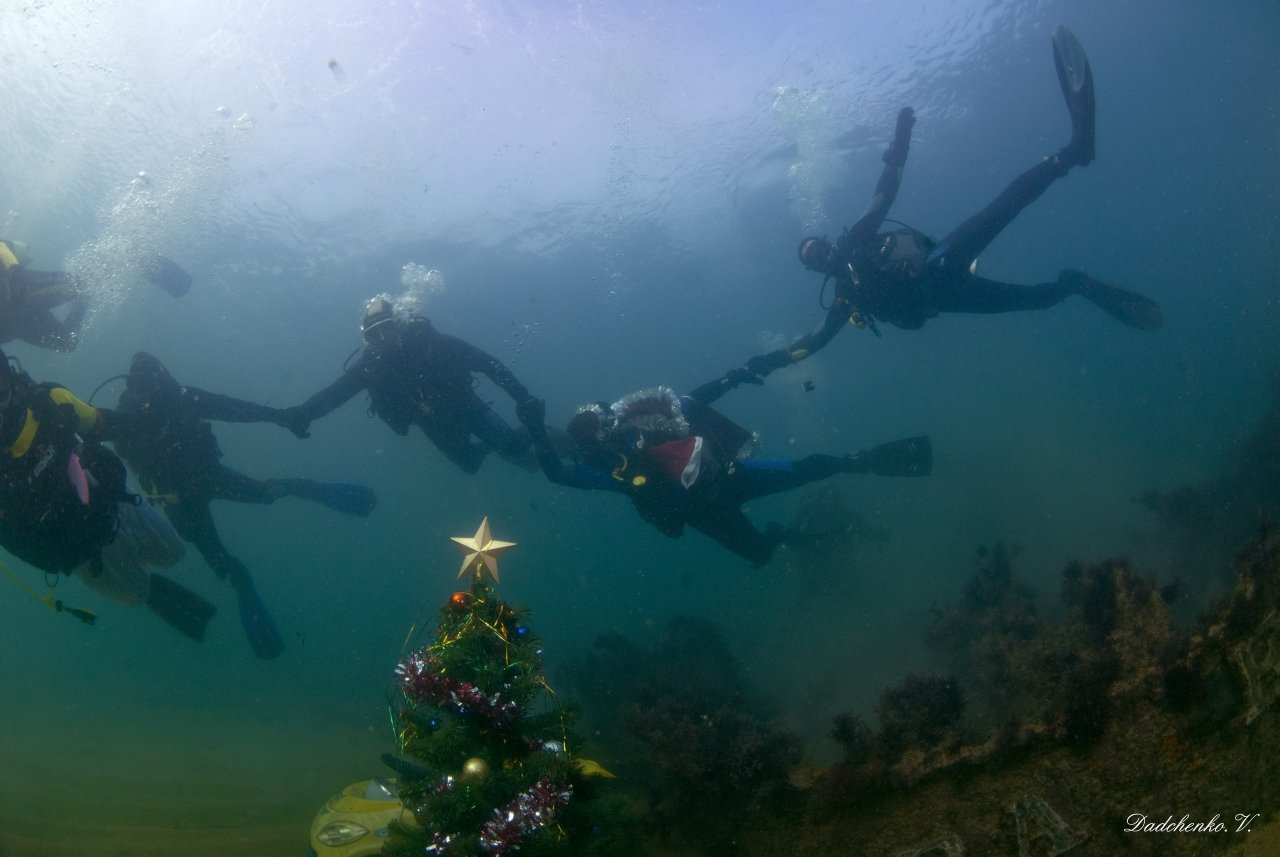 Фото новогодней елки на дне моря в Феодосии #6383
