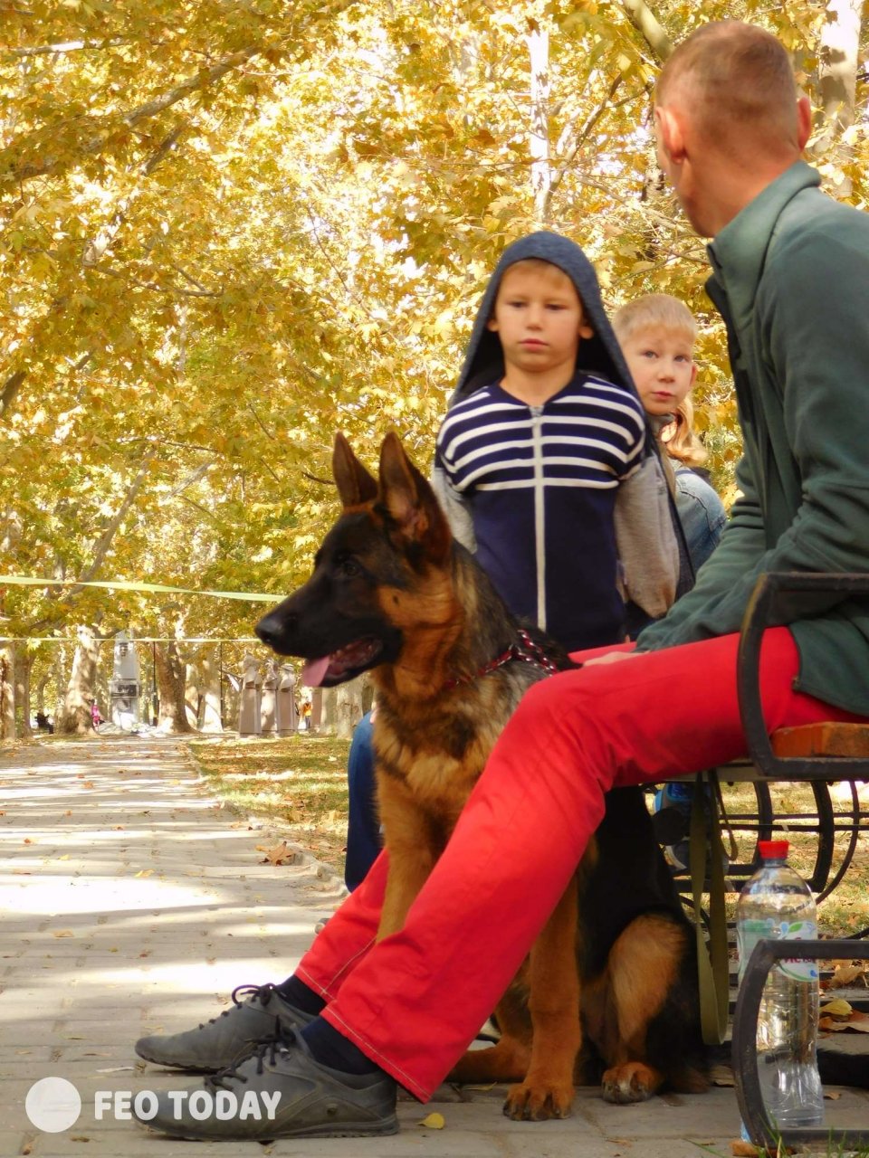 Выставка собак КРАСА КАФЫ в Феодосии #5014