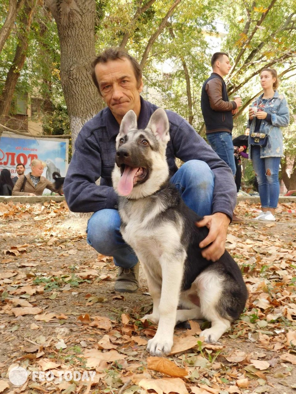Выставка собак КРАСА КАФЫ в Феодосии #5057