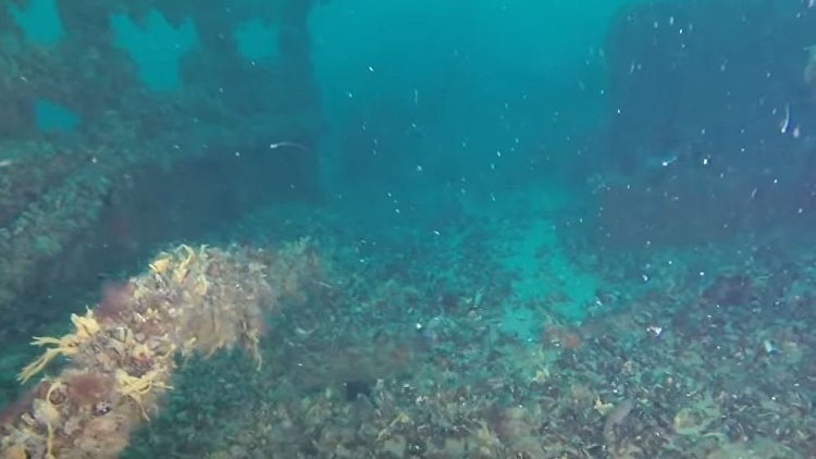 На глубине 45 метров: видео поиска картин Айвазовского на дне Черного моря