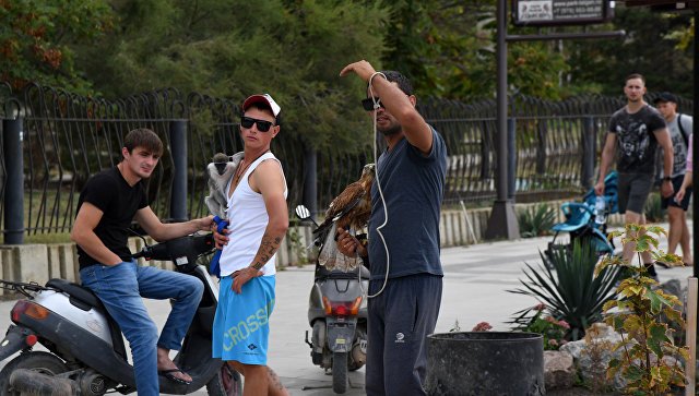 Массовая драка: в Судаке избили туристов, не заплативших за фото с орлом