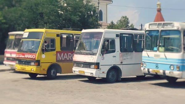 Общественный транспорт Феодосии временно изменит схему движения из-за обрезки деревьев в центре города