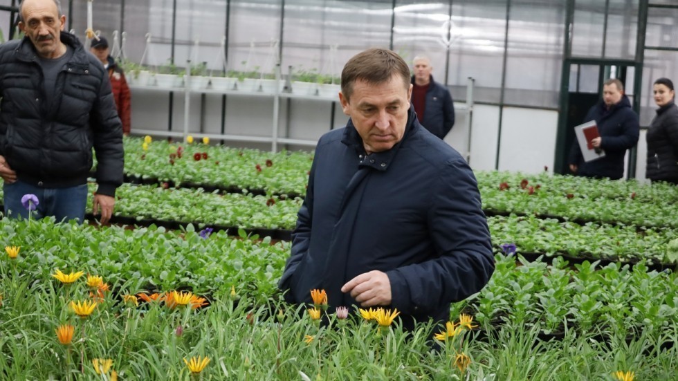 Учреждение «Горзеленхоз» успешно занимается озеленением и содержанием зелёных насаждений на территориях города Симферополя – Юрий Гоцанюк