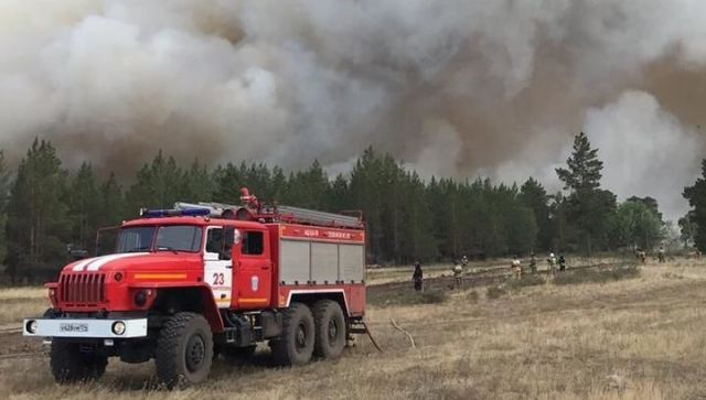 18 человек пострадали от лесных пожаров в Челябинской области