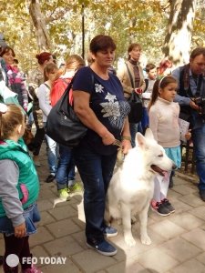 Выставка собак КРАСА КАФЫ в Феодосии #5128
