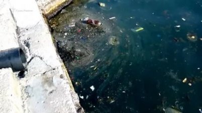 Коктебельская «Чистота» мешает расследовать попадание нечистот в море