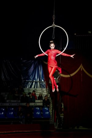 Выступление цирка Юрия Никулина #14577