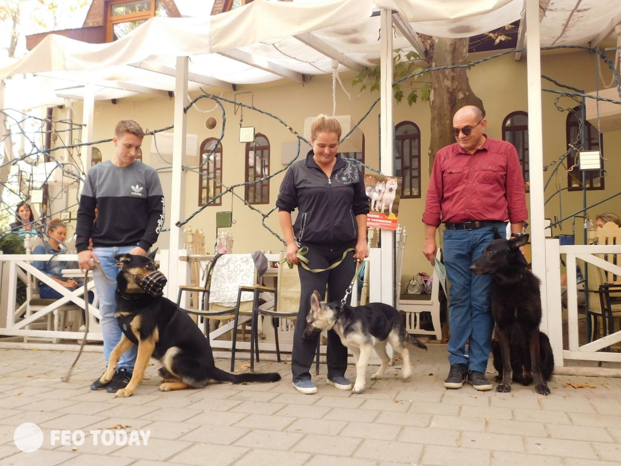 Выставка собак КРАСА КАФЫ в Феодосии #5141