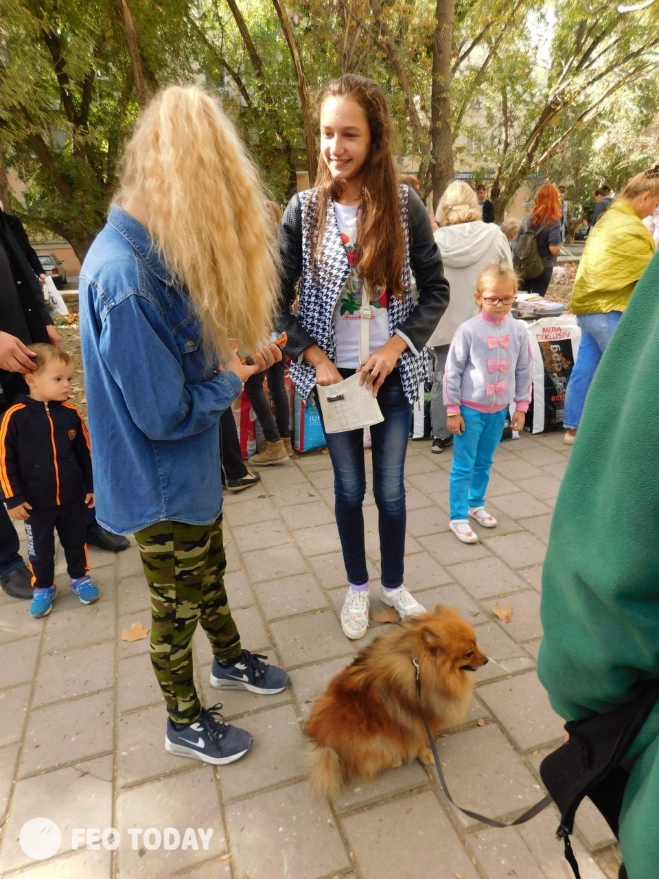 Выставка собак КРАСА КАФЫ в Феодосии #5077