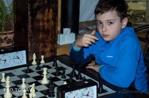 Шахматный турнир памяти А.Алехина #7652