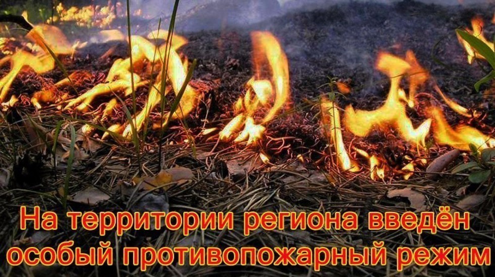 МЧС РК: С 30 апреля в Крыму введен особый противопожарный режим