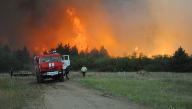 Крымские леса закрыли еще на три недели из-за угрозы пожаров