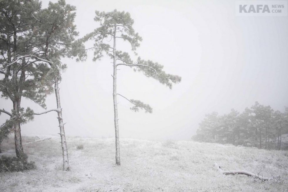 Первый снег в Феодосии #14535
