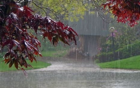 Дождь и ветер: какая погода будет во вторник