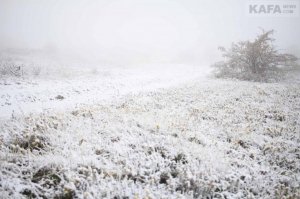 Первый снег в Феодосии #14537