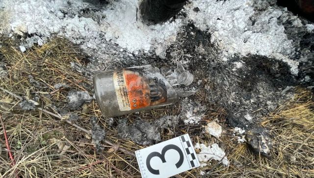 Зарезали и сожгли: СК раскрыл детали зверского убийства в Крыму