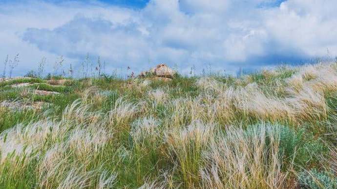 В 2020 году в Крыму создан государственный природный заказник «Парпачский гребень»