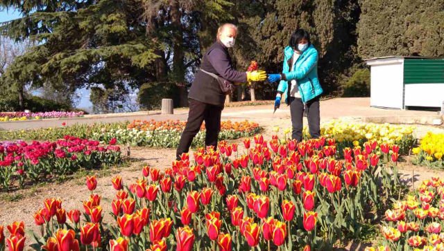 Героям коронавирусной войны: как в Крыму дарили врачам тюльпаны НБС
