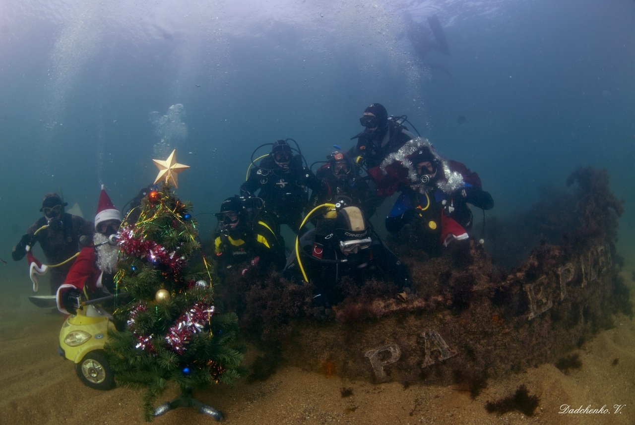 Фото новогодней елки на дне моря в Феодосии #6382