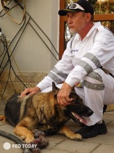 Выставка собак КРАСА КАФЫ в Феодосии #5131