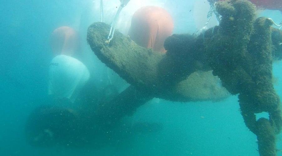 Спасатели подняли со дна Феодосийской бухты столетний якорь