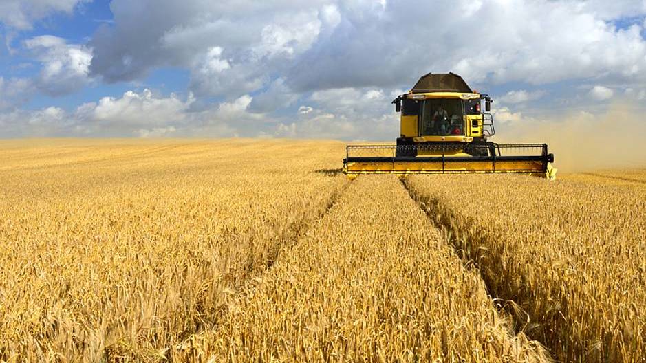 Андрей Рюмшин: Сельхозорганизации Республики Крым полностью обеспечены трудовыми ресурсами для проведения сезонных полевых работ 2020 года