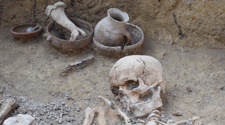 Исследователи проверят гены найденных на раскопках в Крыму останков людей и животных