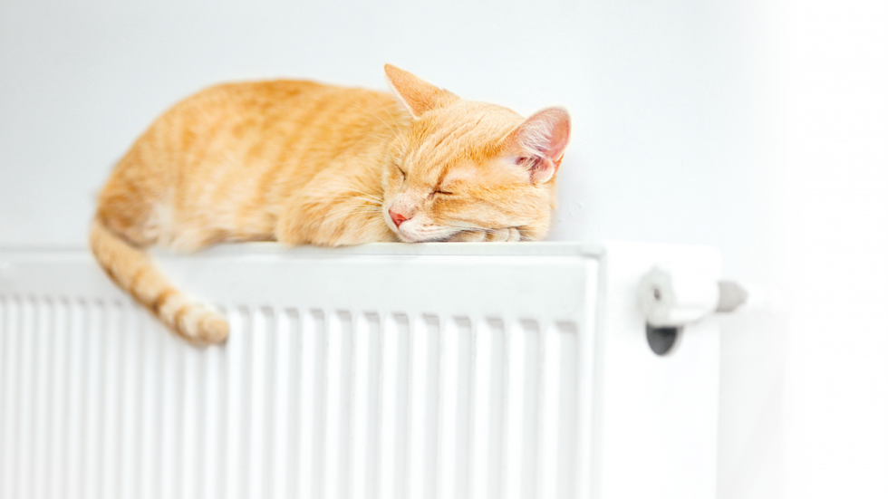 МинЖКХ РК: Управляющие организации обязаны обеспечить подачу тепла в квартиры