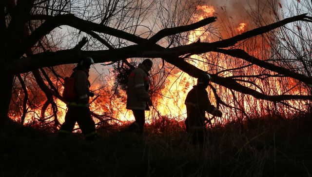 Вертолет из Симферополя тушит сильный лесной пожар под Анапой