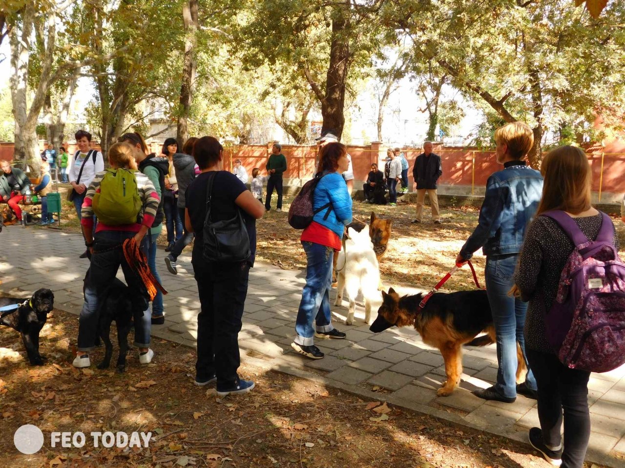 Выставка собак КРАСА КАФЫ в Феодосии #5030