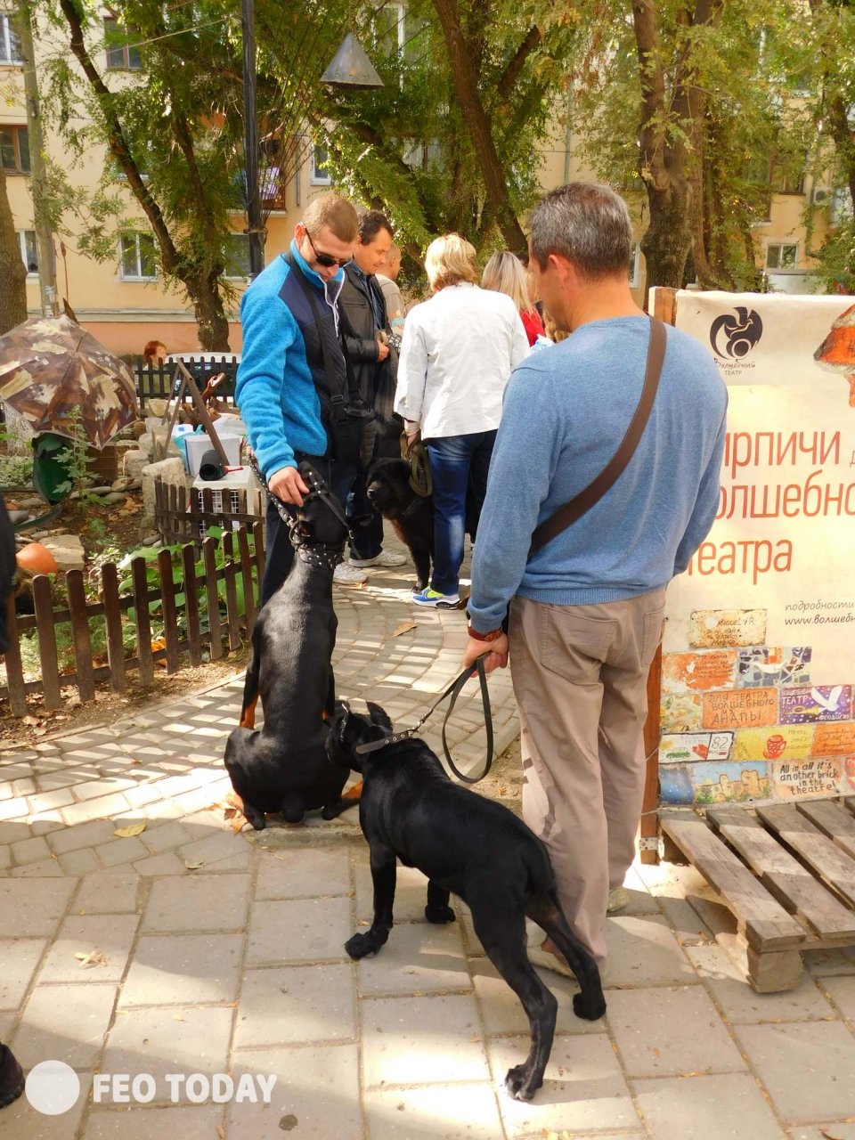 Выставка собак КРАСА КАФЫ в Феодосии #5041
