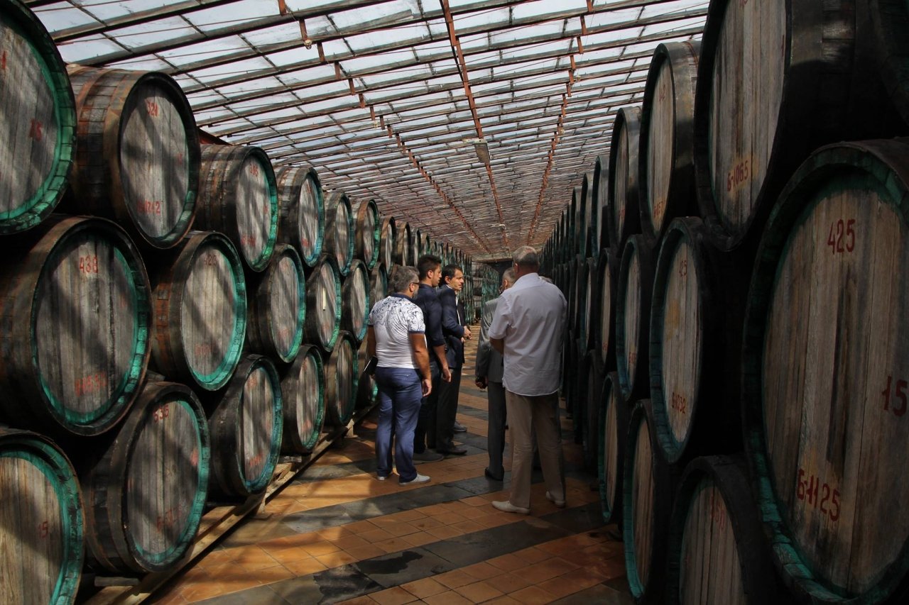 Фото экскурсии на коктебельский винный завод #241