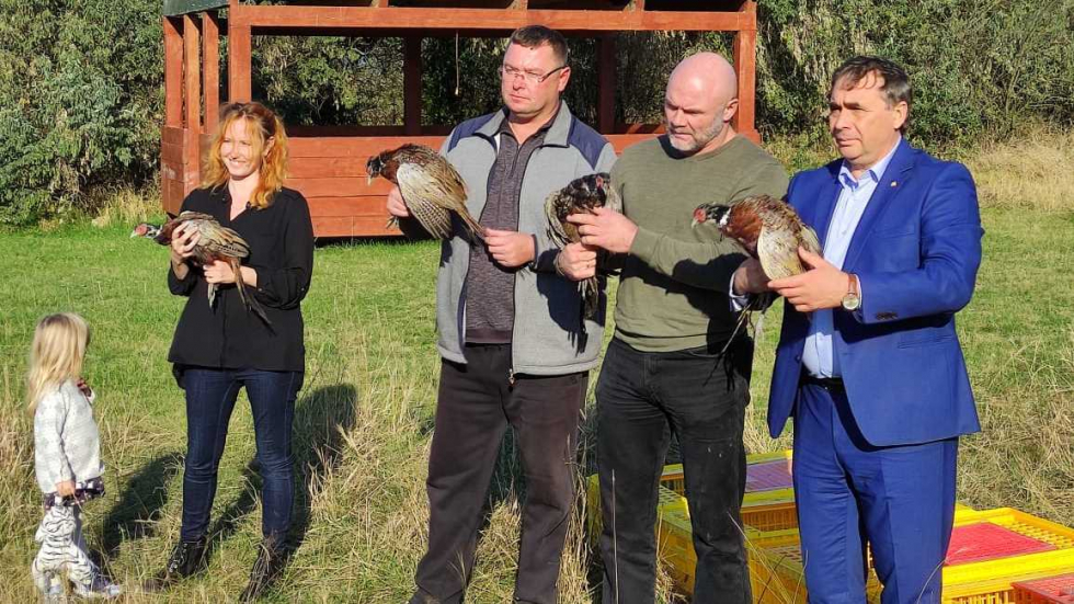 Минприроды Крыма: В Джанкойском районе в рамках проведения биотехнических мероприятий состоялось ежегодное расселение фазанов