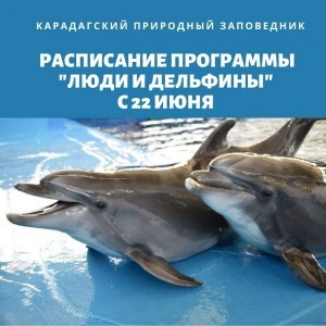 Программа «Люди и дельфины»в Карадагском заповеднике