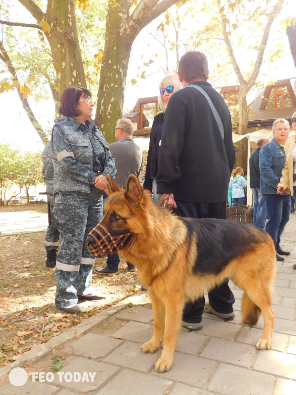 Выставка собак КРАСА КАФЫ в Феодосии #5046