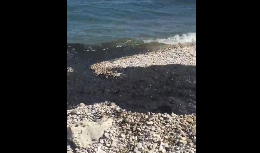 Администрация Феодосии инициировала проверку по факту выброса ливневых вод на пляже в Коктебеле