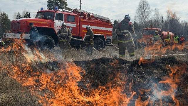 За неделю в Крыму потушили 284 пожара – МЧС