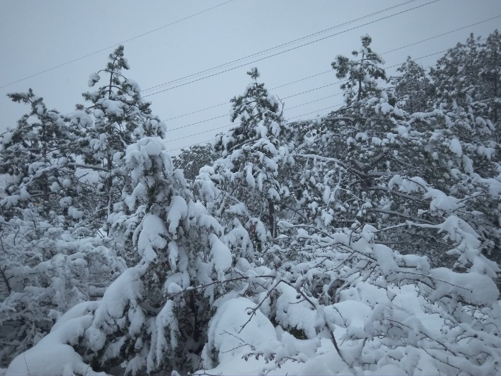Снег, гололед и туман: на Крым надвигается стихия