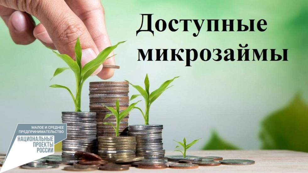 Минэкономразвития РК: С начала 2021 года крымские предприниматели получили 330 льготных микрозаймов на развитие своего дела