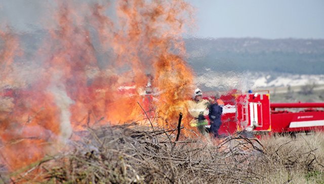 Пожаров меньше, погибших больше: «огненная» ситуация в Крыму