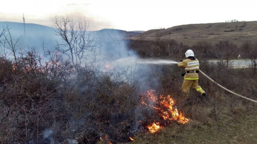 Девять возгораний сухостоя произошло в Крыму за сутки