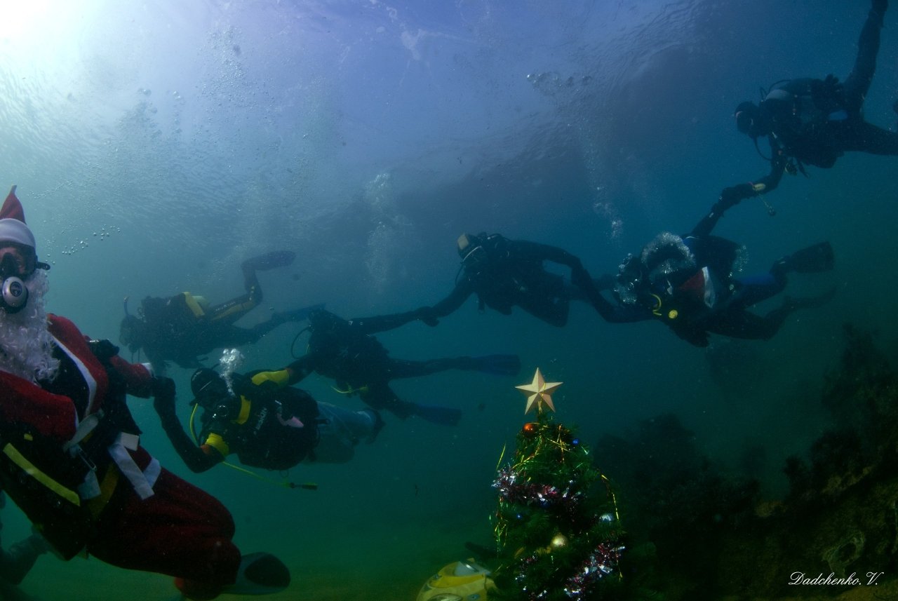 Фото новогодней елки на дне моря в Феодосии #6378