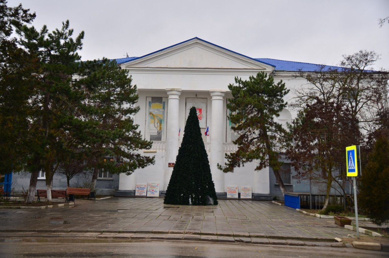 В Приморском установлена новогодняя елка 0