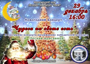Новогодний концерт «Чудеса на свете есть» в пгт Приморском