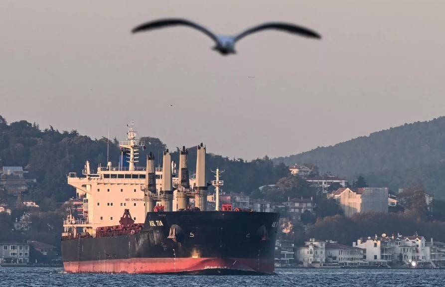 О конфликте на Чёрном море: что делать РФ с зерновой сделкой